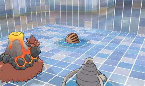 cameruptite|camerupt pokemon.